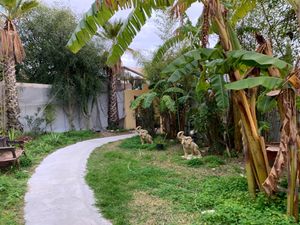 4 at Agricultura Vedica Maharishi in Nerja