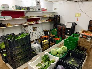 7 at Agricultura Vedica Maharishi in Nerja