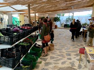 8 at Agricultura Vedica Maharishi in Nerja