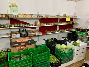 9 at Agricultura Vedica Maharishi in Nerja