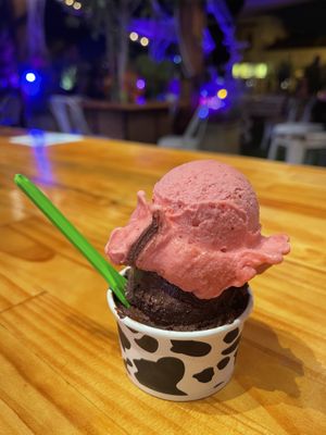 chocolate and raspberry (small)   at Gelato 101 in Encinitas