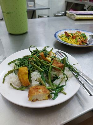 Mimosa with rice and tofu at Jay Oh Vegetarian in Bangkok