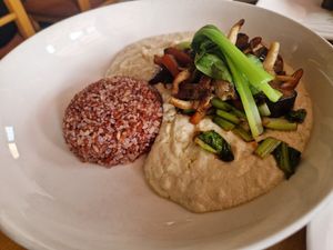 Mushroom stroganoff is excellent and generous at Tatale Vegan Restaurant in Accra