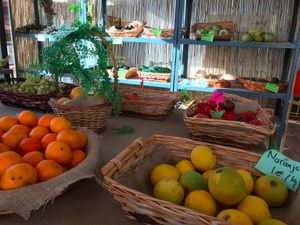 Fruit and veg at Frutopia Palm Mar in Tenerife