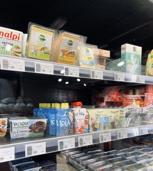 Vegan cheese slices! at Baronesha in Tirana