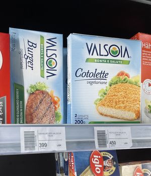 Burger and cutlets (vegan based on the ingredients)   at Baronesha in Tirana