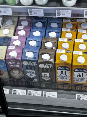   at Baronesha in Tirana