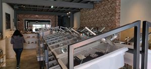 bulk bins at Salud a Granel in Tijuana