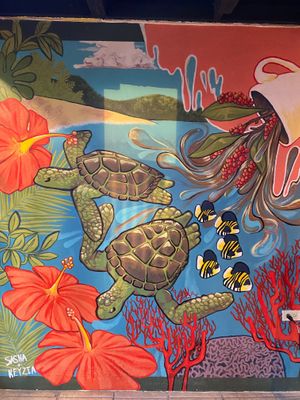 Beautiful interior inside Culebra Coffee. at Culebra Coffee in Culebra