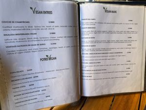 Vegan menu  at Il Paparazzo in Valparaiso