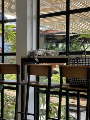   at Bubba's - Had Yao in Koh Phangan