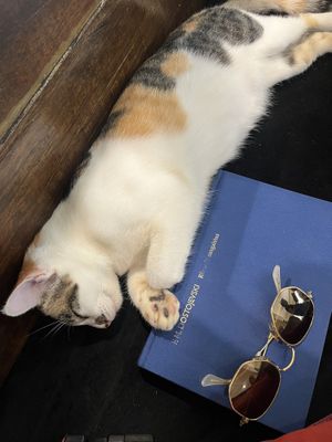 THE CUTEST THING 💖💖💖  at Bubba's - Had Yao in Koh Phangan