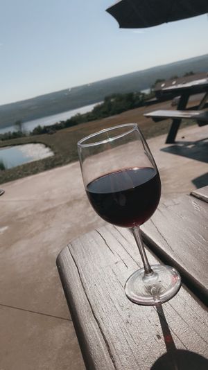 gorgeous views  at Grist Iron Brewing Company in Burdett