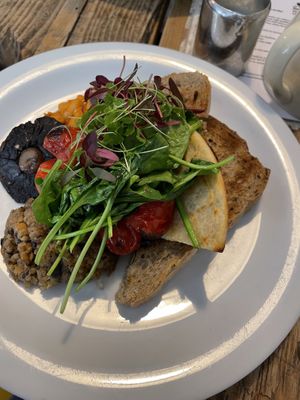 The best vegan haggis! at The Edinburgh Larder in Edinburgh