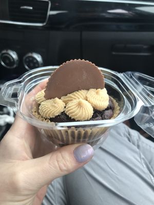   at 4th & State in Columbus