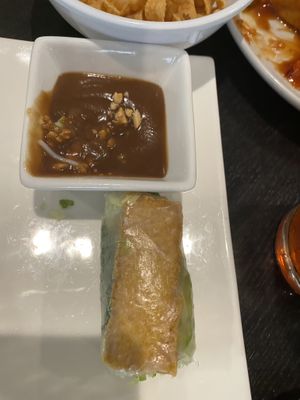Vegan tofu spring roll at Ha Long Bay Bistro in Dunedin