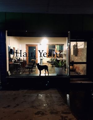 We also have our beloved Nora who is super friendly and although will most likely be sleeping, will be glad to see you none the less! :) at Hair Yeah? in Fitzroy