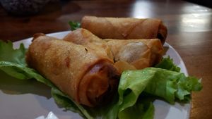 Veggie egg roll ($9). Tasty and well done. at On's Kitchen in St Paul