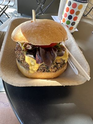 Lots of cheese.  Choice of vegan or dairy cheesee  at The Dutch Door in Napa