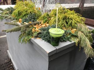 "The Professional" made-to-order juice. at Juice Generation - 9th Ave in New York City