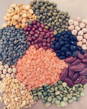 Legumes at The Seedy Sister  in Coolum