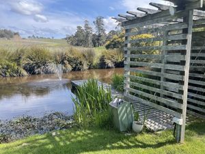   at Loira Vines in Loira