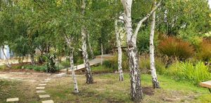 Beautiful spaces to sit at Loira Vines in Loira