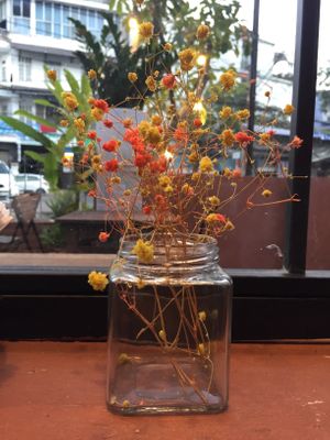 Restaurant  at Koy in Da Nang