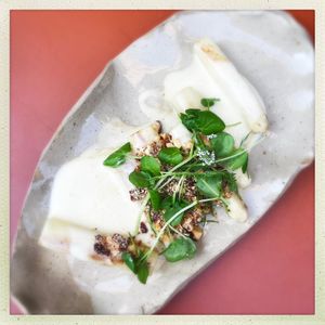   at Leuchtendroter in Frankfurt