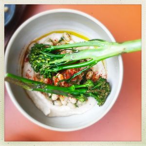   at Leuchtendroter in Frankfurt