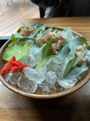   at Leuchtendroter in Frankfurt