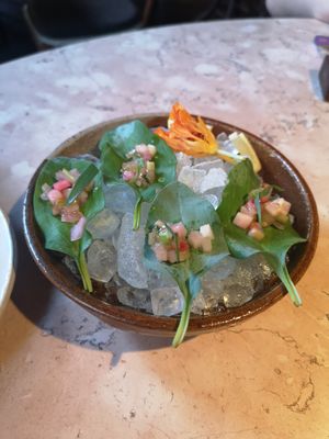 Oyster Leaf, Celery, Grape Vinegar at Leuchtendroter in Frankfurt