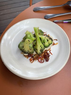   at Leuchtendroter in Frankfurt