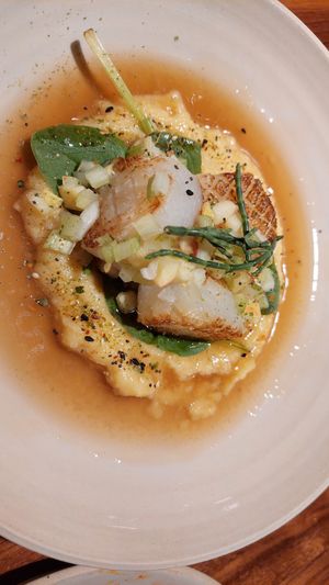  at Leuchtendroter in Frankfurt