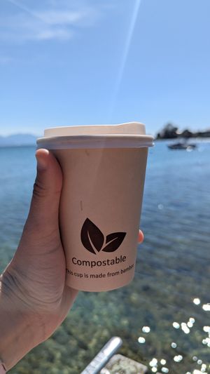  at La Gazette in Morges