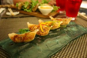 vegan gyoza at TUI Blue in Santa Maria