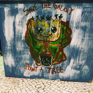 Organic theme at Cafe Boho in Udaipur