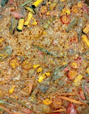 Arroz de verduras at Doña Lola in Albacete