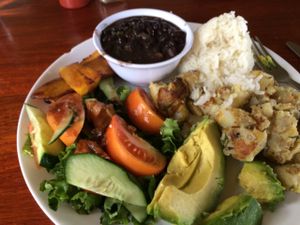 great fresh vegan meal at Essence Arenal in El Castillo