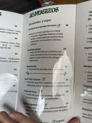   at Essence Arenal in El Castillo