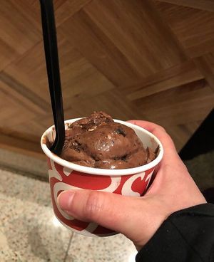 Dandelion Chocolate Hazelnut Cookies & Cream! Delish! at Downtown Disney - Salt & Straw in Anaheim