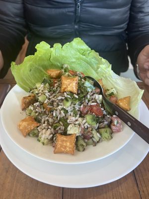   at Habibi in San Luis Potosi