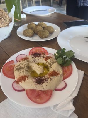   at Habibi in San Luis Potosi