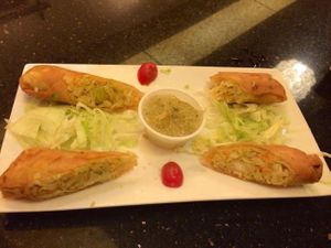 spring rolls at Chows Asian Bistro in Albuquerque