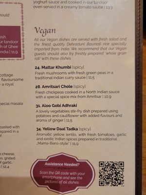 Vegan options in the menu at Amrit in Berlin