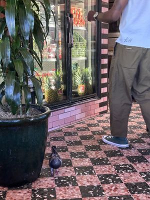   at Morning Glory in San Diego