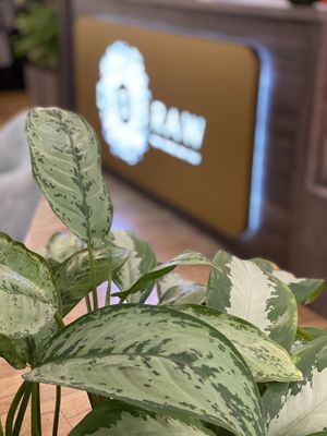 Enter at Dobraw in Moscow