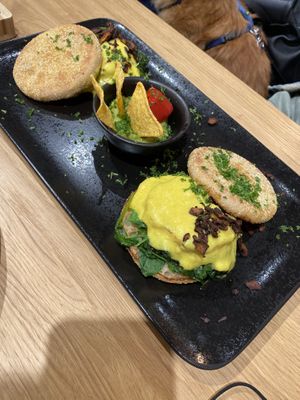 Early Bird at King of Greens in Leonberg