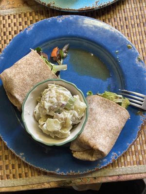 Hot veggie sandwich and potato saladd  at Whole Earth Cafe in Gatlinburg