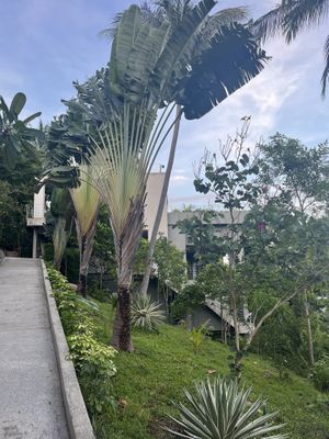   at Kapuhala Koh Samui in Koh Samui